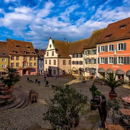 Holiday Holidays In The Erletal アパート Endingen am Kaiserstuhl